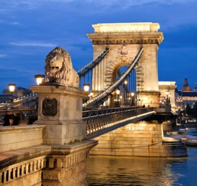 8301_large_1698313163-c8f39a4de9f37c0ab8d7ac09317f8f4c.jpg